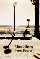 Bloodlines on Kindle