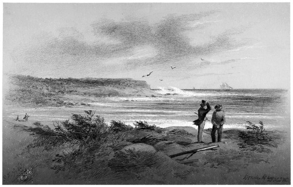 Pencil sketch entitled "Bondi Bay", by S.T. Gill, ca. 1863.